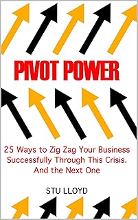 PIVOT POWER: 25 Ways to Zig Zag Your Business Successfully Through This Crisis. And the Next. (English Edition)